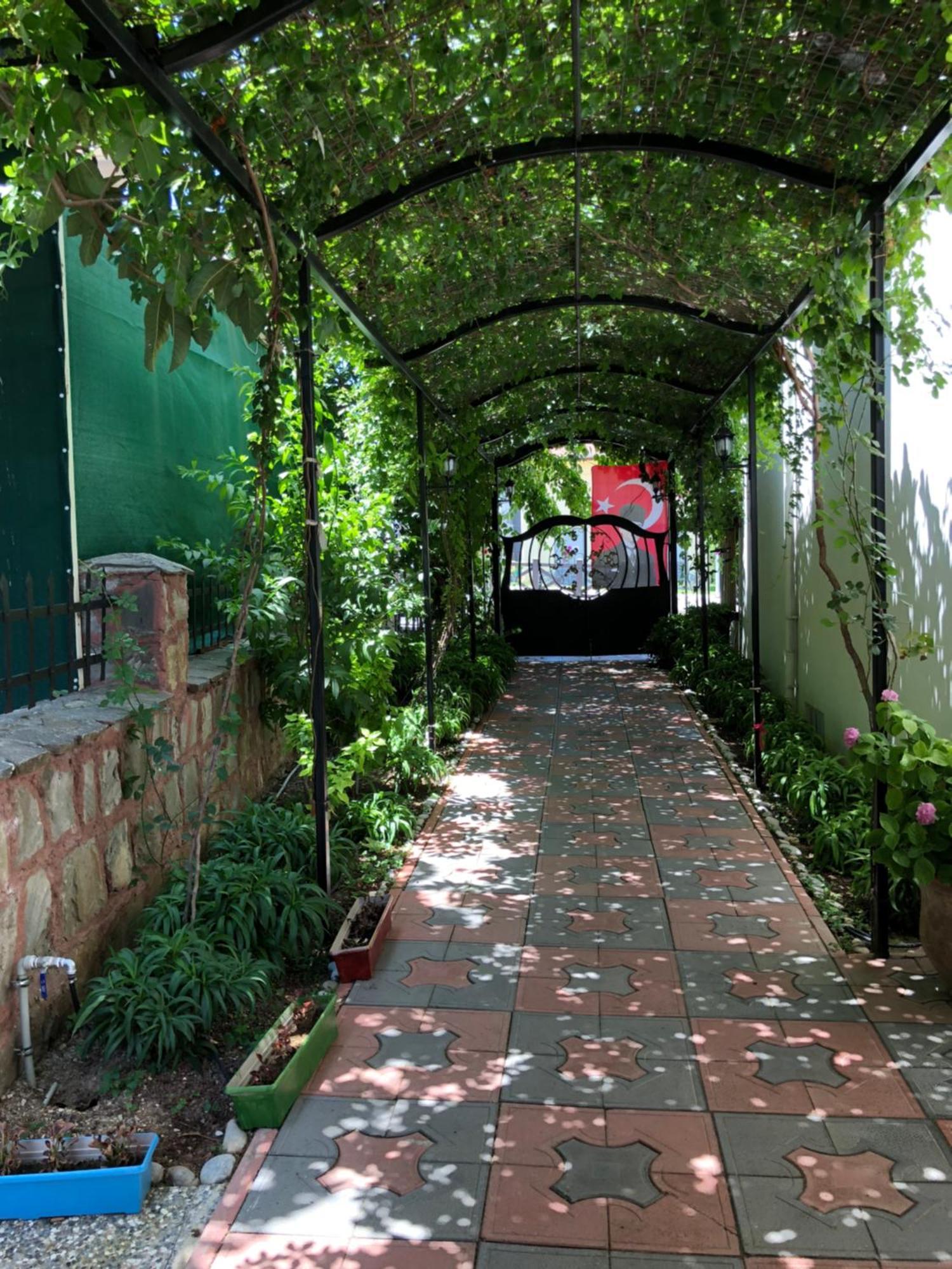 Kampues Garden 4*